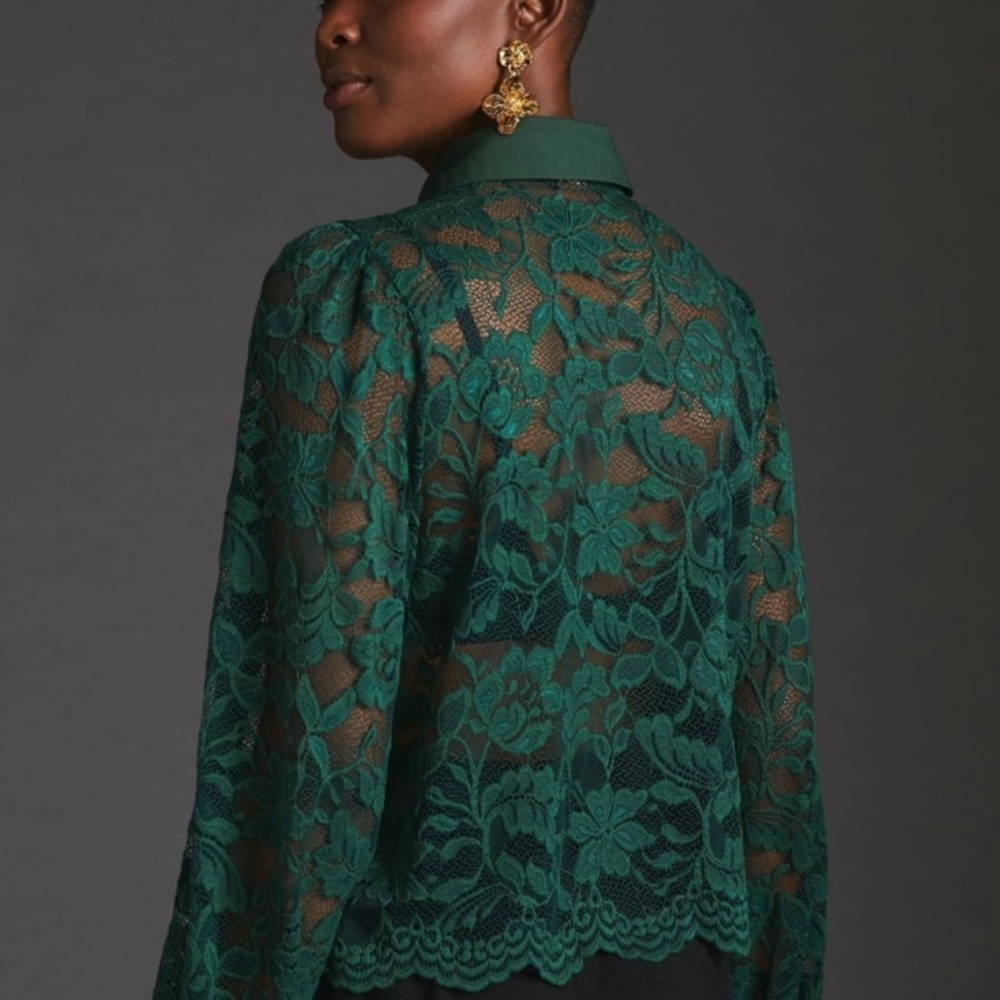 DOLAN x ANTHROPOLOGIE Sheer Lace Blouse - Picture 2 of 13